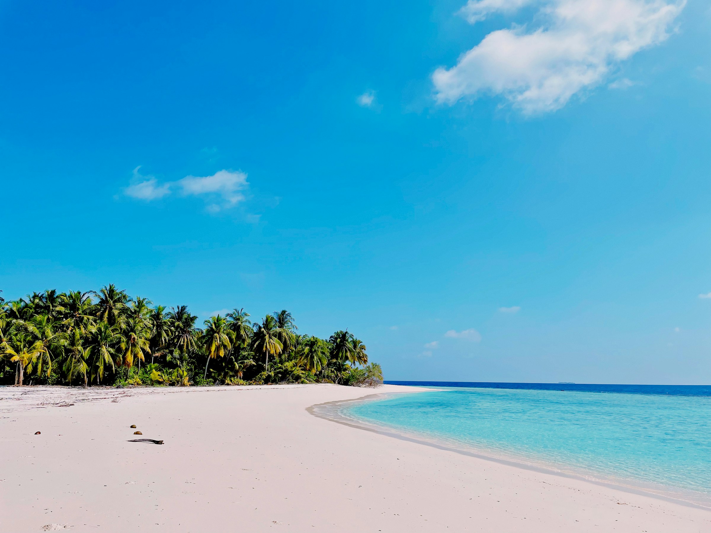 Турция - фото 1